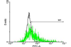 FACS analysis of negative control 293 cells (Black) and GLIPR1L1 expressing 293 cells (Green) using GLIPR1L1 purified MaxPab mouse polyclonal antibody. (GLIPR1L1 anticorps  (AA 1-233))