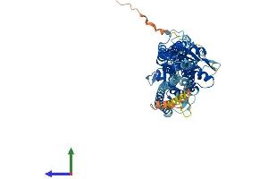 AlphaFold protein structure predicition of Human Recombinant GBP4 Protein, UniprotID Q96PP9