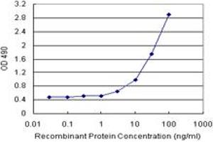 Sandwich ELISA detection sensitivity ranging from 3 ng/mL to 100 ng/mL. (FKBP5 (Humain) Matched Antibody Pair)