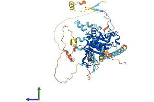 AlphaFold protein structure predicition of Mouse Recombinant Ddhd1 Protein, UniprotID Q80YA3