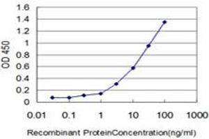Detection limit for recombinant GST tagged IFI16 is approximately 0. (IFI16 anticorps  (AA 630-729))