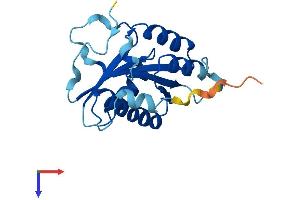 AlphaFold protein structure predicition of Mouse Recombinant Cenpm Protein, UniprotID Q9CQA0