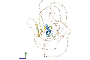 AlphaFold protein structure predicition of Human Recombinant PJA1 Protein, UniprotID Q8NG27