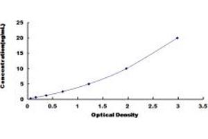 Typical standard curve