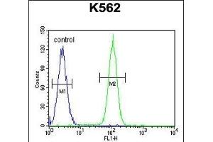 DDX27 Antibody (C-term) (ABIN655057 and ABIN2844686) flow cytometric analysis of K562 cells (right histogram) compared to a negative control cell (left histogram).