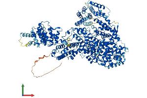 AlphaFold protein structure predicition of Mouse Recombinant Med23 Protein, UniprotID Q80YQ2