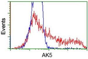 HEK293T cells transfected with either RC222241 overexpress plasmid (Red) or empty vector control plasmid (Blue) were immunostained by anti-AK5 antibody (ABIN2452721), and then analyzed by flow cytometry. (Adenylate Kinase 5 anticorps)