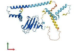 AlphaFold protein structure predicition of Mouse Recombinant Nudc Protein, UniprotID O35685 (NUDC Protein (AA 1-332) (His tag))