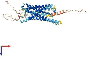 AlphaFold protein structure predicition of Human Recombinant PTGER3 Protein, UniprotID P43115