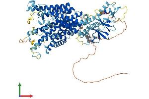 AlphaFold protein structure predicition of Human Recombinant CLCN3 Protein, UniprotID P51790