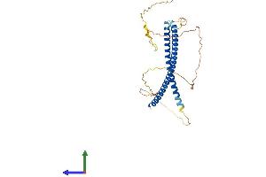 AlphaFold protein structure predicition of Mouse Recombinant Knstrn Protein, UniprotID Q9D9Z1