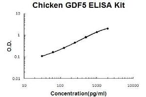 Chicken GDF5 PicoKine ELISA Kit standard curve (GDF5 Kit ELISA)