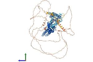 AlphaFold protein structure predicition of Mouse Recombinant Kcnb1 Protein, UniprotID Q03717