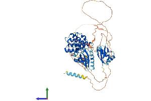 AlphaFold protein structure predicition of Human Recombinant MAP3K2 Protein, UniprotID Q9Y2U5