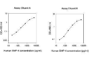ELISA image for Bone Morphogenetic Protein 4 (BMP4) ELISA Kit (ABIN624950) (BMP4 Kit ELISA)