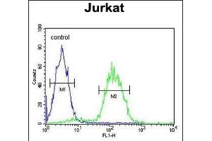 CD34 Antibody (Center) (ABIN654623 and ABIN2844320) flow cytometric analysis of Jurkat cells (right histogram) compared to a negative control cell (left histogram). (CD34 anticorps  (AA 185-212))