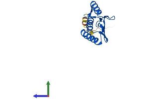 AlphaFold protein structure predicition of Human Recombinant PCBD2 Protein, UniprotID Q9H0N5