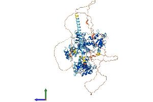 AlphaFold protein structure predicition of Human Recombinant PAXIP1 Protein, UniprotID Q6ZW49