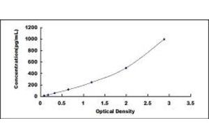 Typical standard curve (Thymic Stromal Lymphopoietin Kit ELISA)