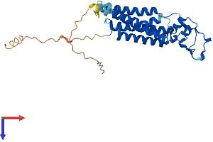 AlphaFold protein structure predicition of Human Recombinant PLPP3 Protein, UniprotID O14495