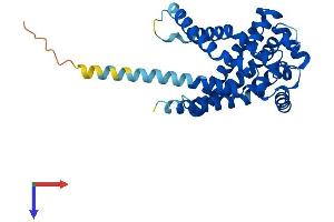 AlphaFold protein structure predicition of Human Recombinant SLC25A42 Protein, UniprotID Q86VD7