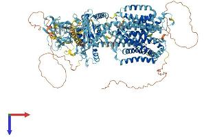 AlphaFold protein structure predicition of Mouse Recombinant Disp3 Protein, UniprotID A3KFU9