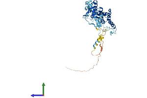 AlphaFold protein structure predicition of Mouse Recombinant Krr1 Protein, UniprotID Q8BGA5