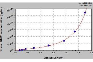 Typical Standard Curve (NME1 Kit ELISA)