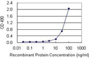 HMGB1 (Human) Matched Antibody Pair