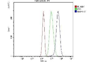Flow Cytometry analysis of SiHa cells using anti-MAP4K1/HPK1 antibody (ABIN7601232).