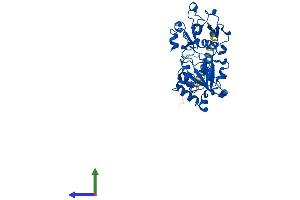 AlphaFold protein structure predicition of Human Recombinant FUT7 Protein, UniprotID Q11130