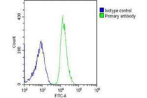Overlay histogram showing U-2OS cells stained with (ABIN6242742 and ABIN6578595) (green line).