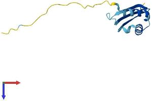 AlphaFold protein structure predicition of Human Recombinant BOLA3 Protein, UniprotID Q53S33