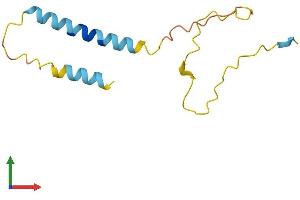AlphaFold protein structure predicition of Human Recombinant PDZK1IP1 Protein, UniprotID Q13113