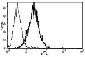 Flow Cytometry (FACS) image for anti-Poliovirus Receptor-Related 2 (Herpesvirus Entry Mediator B) (PVRL2) antibody (ABIN1105750) (PVRL2 anticorps)