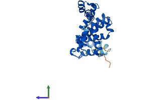 AlphaFold protein structure predicition of Human Recombinant GID8 Protein, UniprotID Q9NWU2