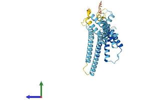 AlphaFold protein structure predicition of Human Recombinant GPBAR1 Protein, UniprotID Q8TDU6