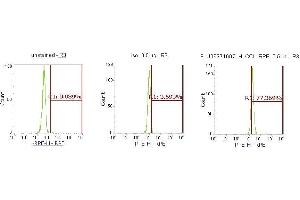 Flow Cytometry (FACS) image for anti-Chemokine (C-C Motif) Ligand 22 (CCL22) (AA 25-93) antibody (PE) (ABIN5566347)