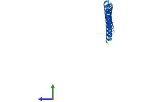 AlphaFold protein structure predicition of Human Recombinant SYCE3 Protein, UniprotID A1L190