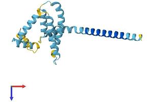 AlphaFold protein structure predicition of Human Recombinant REEP5 Protein, UniprotID Q00765