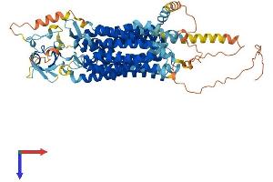 AlphaFold protein structure predicition of Mouse Recombinant Slco1c1 Protein, UniprotID Q9ERB5