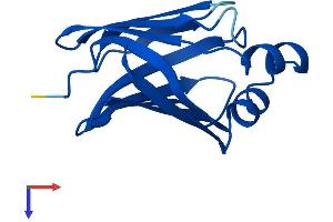 AlphaFold protein structure predicition of Mouse Recombinant Rbp7 Protein, UniprotID Q9EPC5