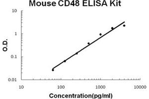 Mouse CD48 PicoKine ELISA Kit standard curve (CD48 Kit ELISA)