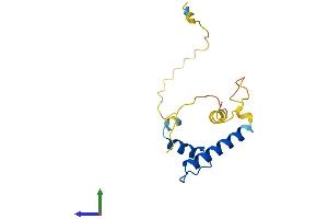 AlphaFold protein structure predicition of Human Recombinant ID2 Protein, UniprotID Q02363