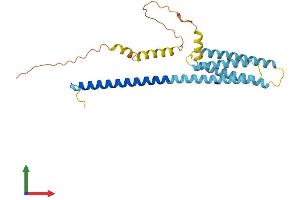 Hydrogen Voltage-Gated Channel 1 (HVCN1) (AA 1-269) protein (His tag)