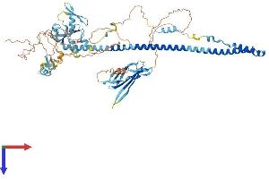 AlphaFold protein structure predicition of Mouse Recombinant Trim42 Protein, UniprotID Q9D2H5