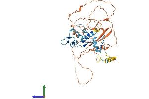 AlphaFold protein structure predicition of Human Recombinant YY1 Protein, UniprotID P25490