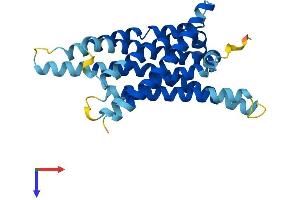 AlphaFold protein structure predicition of Human Recombinant TAS2R31 Protein, UniprotID P59538