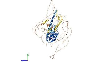 AlphaFold protein structure predicition of Human Recombinant MAP3K13 Protein, UniprotID O43283