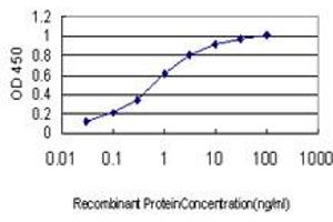 Detection limit for recombinant GST tagged RAD54B is approximately 0. (RAD54B anticorps  (AA 801-910))